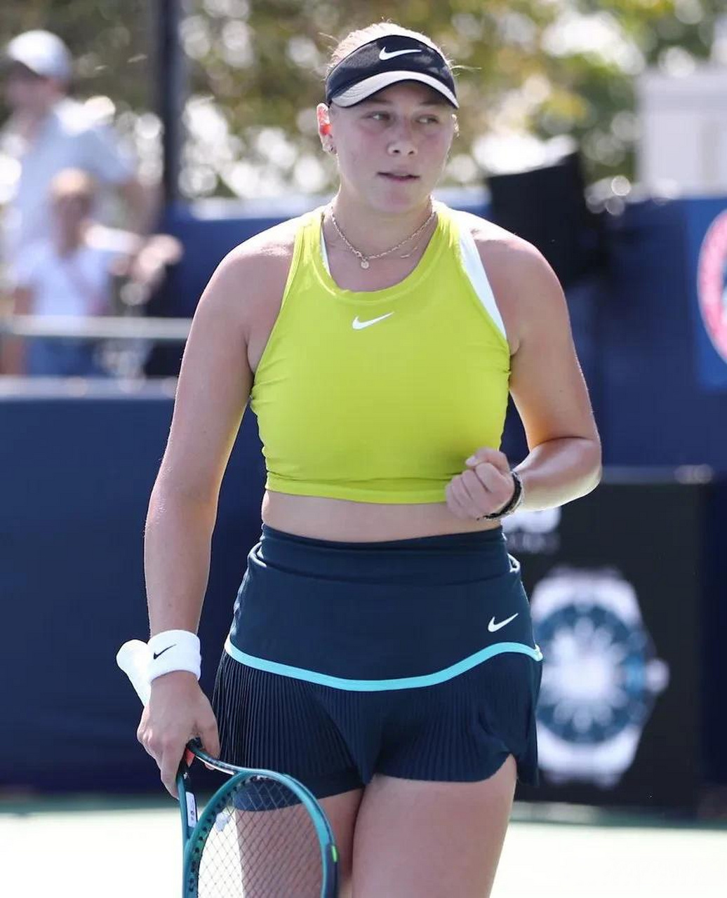 纽约媒体环 纽约媒体环